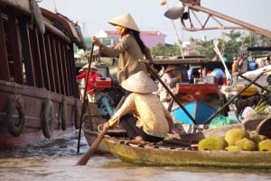 HCMC: Cai Rang Floating Market & Mekong Delta Private Tour