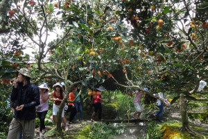 HCMC: Cai Rang Floating Market & Mekong Delta Private Tour