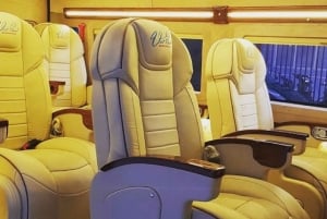 HCMC: Cu Chi Tunnels & Mekong Delta VIP Tour by Limousine