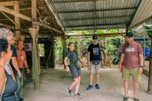 HCMC: Mekongdeltats mindre turistiska endagsutflykt till Ben Tre