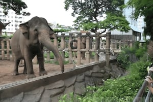 Ho Chi Minh: Private Botanical Garden, Waterbus & Landmarks