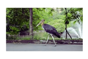 Ho Chi Minh: Private Botanical Garden, Waterbus & Landmarks