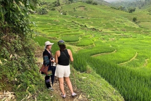 Trilhos escondidos de Sapa: caminhada autêntica de 2 dias e estadia em casa de família Hmong