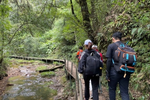 Hiking Fansipan 2D1N - Explore The Majestic Nature