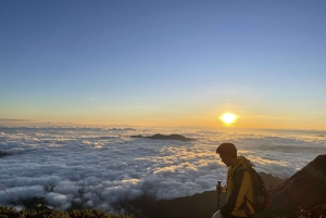 Hiking Fansipan 2D1N - Explore The Majestic Nature