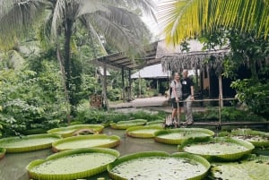 Ho Chi Minh: 1-tägige Mekong Delta Tour - Schwimmender Markt und Insel