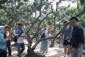 Ho Chi Minh: 1-tägige Mekong Delta Tour - Schwimmender Markt und Insel
