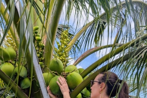 Ho Chi Minh: 1-dags Mekong Delta Tour – flytende marked og holm