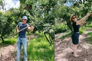 Ho Chi Minh: 1-dags Mekong Delta Tour – flytende marked og holm