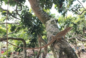 Ho Chi Minh: 1-dags Mekong Delta Tour – flytende marked og holm