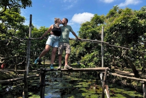 Ho Chi Minh: 1-dags Mekong Delta Tour – flytende marked og holm