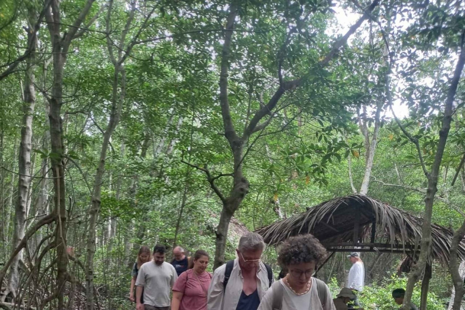 Ho Chi Minh: Can Gio Mangrove and Monkey Island