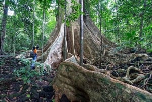 Ho Chi Minh: Cat Tien Wildlife Jungle Tour med 2D1N-alternativ