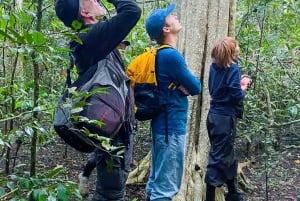 Ho Chi Minh: Cat Tien Wildlife Jungle Tour med 2D1N-alternativ