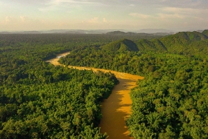 Ho Chi Minh: Cat Tien Wildlife Jungle Tour med 2D1N-alternativ