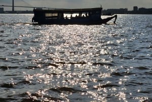 Ciudad Ho Chi Minh: Excursión de 2 días en bici y kayak por el Delta del Mekong
