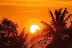 Ciudad Ho Chi Minh: Excursión de 2 días en bici y kayak por el Delta del Mekong