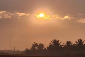 Ciudad Ho Chi Minh: Excursión de 2 días en bici y kayak por el Delta del Mekong