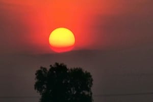 Ciudad Ho Chi Minh: Excursión de 2 días en bici y kayak por el Delta del Mekong