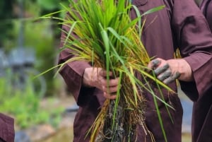 Ho-Chi-Minh-Stadt: 2-tägige Tour mit Fahrrad und Kajak durch das Mekong-Delta