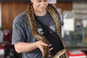 Ho-Chi-Minh-Stadt: 2-tägige Tour mit Fahrrad und Kajak durch das Mekong-Delta