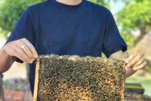 Ho-Chi-Minh-Stadt: 2-tägige Tour mit Fahrrad und Kajak durch das Mekong-Delta