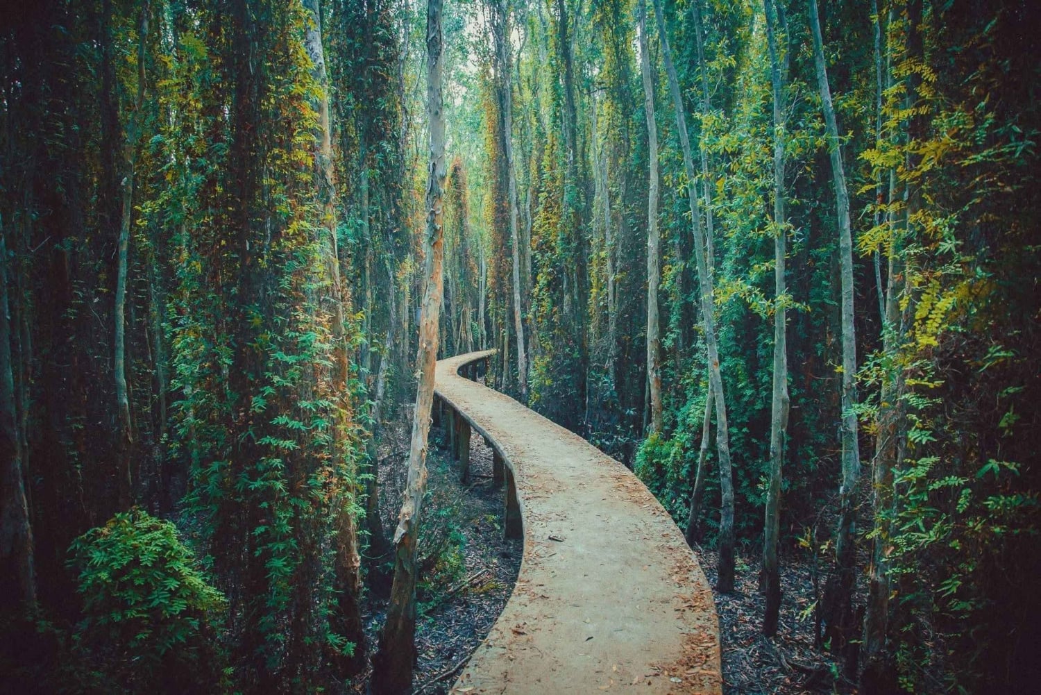 Ho Chi Minhstad: 2-daagse Mekong Delta-tour met gastgezin