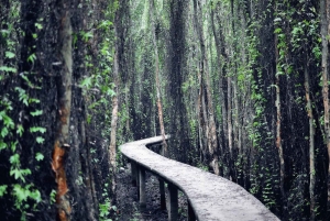 Ho Chi Minhstad: 2-daagse Mekong Delta-tour met gastgezin