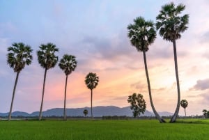 Ho-Chi-Minh-Stadt: 2-Tagestour ins Mekong-Delta mit Mahlzeiten
