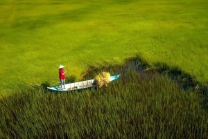 Ho-Chi-Minh-Stadt: 2-Tagestour ins Mekong-Delta mit Mahlzeiten