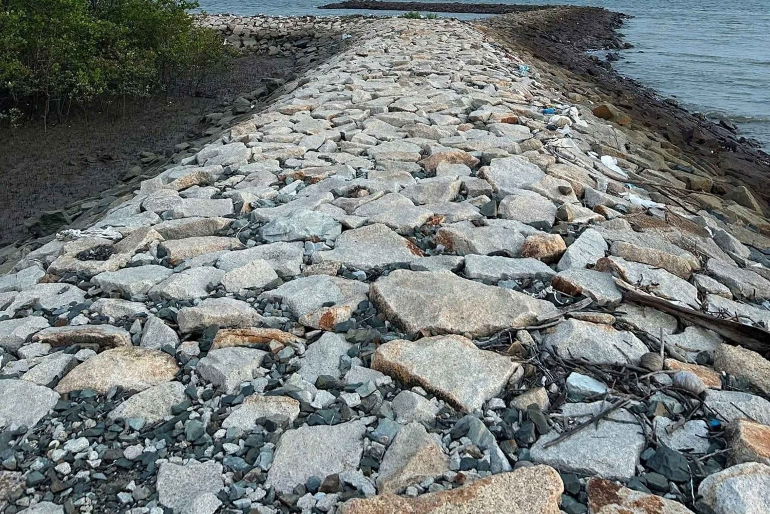 Ho Chi Minh City: 3-Day Can Gio, Vung Tau & Mui Ne Tour