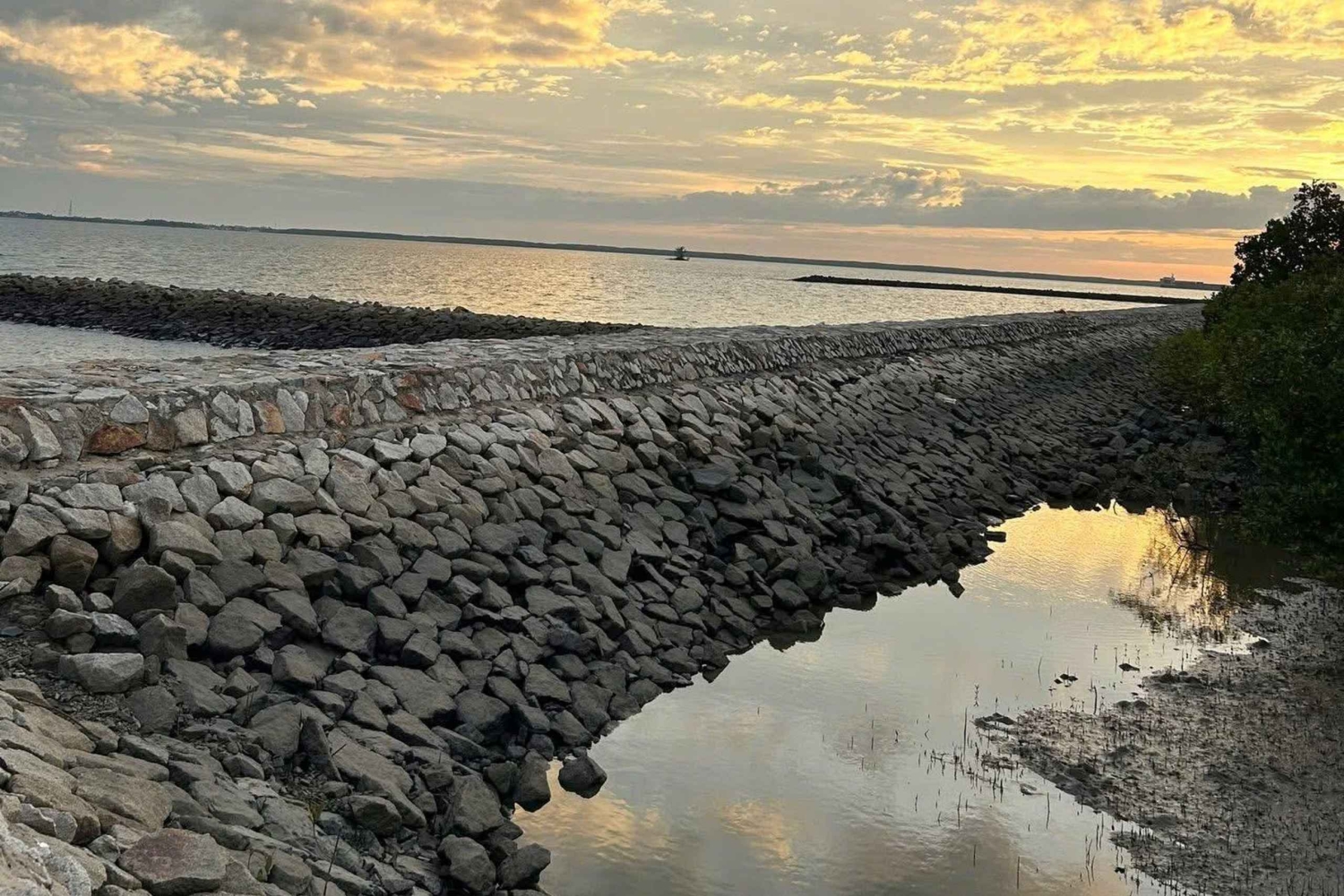 Ho Chi Minh City: 3-Day Can Gio, Vung Tau & Mui Ne Tour