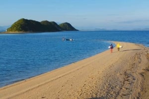 Ho Chi Minh City: 3-Day Can Gio, Vung Tau & Mui Ne Tour