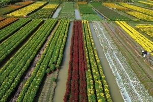 Ho-Chi-Minh-Stadt: 3-tägige private Tour zum Mekongdelta