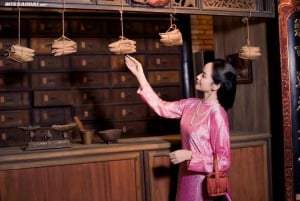 Ho Chi Minhstad: Ao Dai pas- en foto-ervaring in Saigon