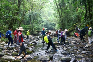 Ho Chi Minh: Bidoup i Ta Giang – 2-dniowa wycieczka trekkingowa