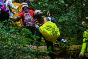Ho Chi Minh: Bidoup i Ta Giang – 2-dniowa wycieczka trekkingowa