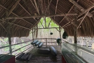 Ho Chi Minh City: Can Gio Island and Vam Sat Eco Park Tour