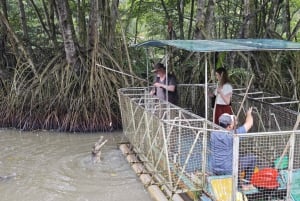 Ho Chi Minh City: Can Gio Island and Vam Sat Eco Park Tour