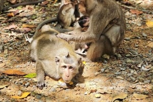 Ho Chi Minh City: Can Gio Island and Vam Sat Eco Park Tour