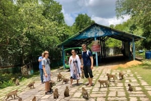 Ho Chi Minh City: Can Gio Island and Vam Sat Eco Park Tour