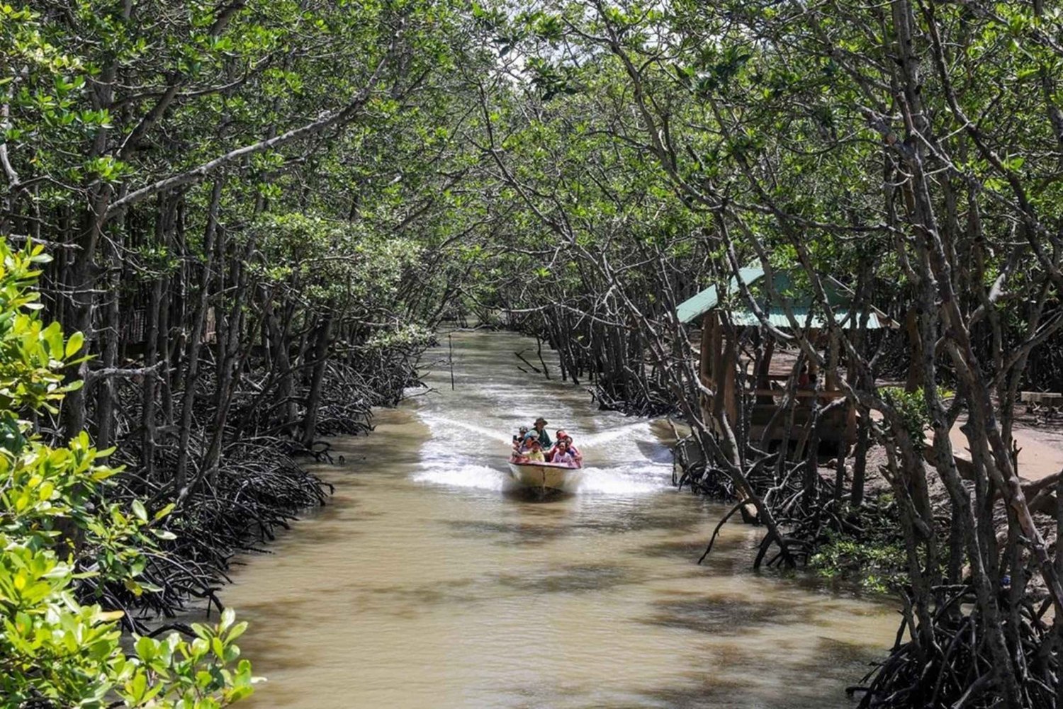 Ho Chi Minh City: Can Gio Monkey Island Day Trip with Lunch