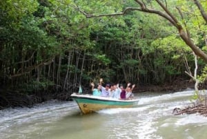 Cidade de Ho Chi Minh: Viagem de 1 dia à Ilha dos Macacos de Can Gio com almoço