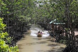 Ho Chi Minh-byen: Can Gio Monkey Island Dagstur med lunsj