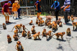 Ho Chi Minh-byen: Can Gio Monkey Island Dagstur med lunsj