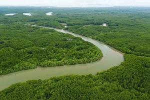 Ho Chi Minh-byen: Can Gio Monkey Island Dagstur med lunsj