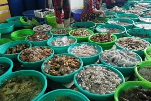 Ho Chi Minh-byen: Can Gio Monkey Island Dagstur med lunsj