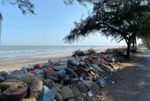 Ho Chi Minh-byen: Can Gio Monkey Island Dagstur med lunsj