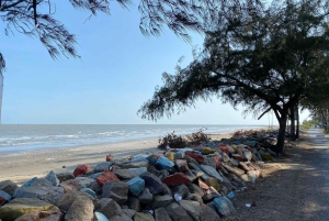 Ho Chi Minh-byen: Can Gio Monkey Island Dagstur med lunsj