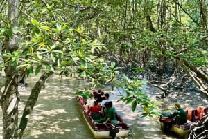 Ho Chi Minh City: Can Gio Monkey Island Day Trip